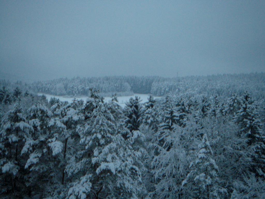 Gasthof Jaegerheim Birgland Bagian luar foto