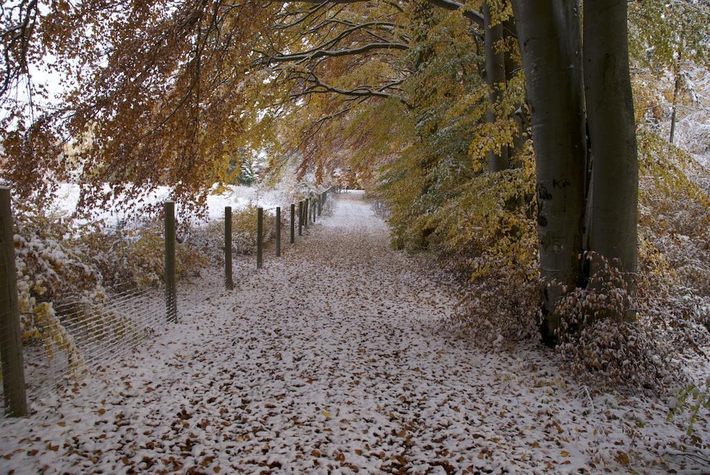 Gasthof Jaegerheim Birgland Bagian luar foto
