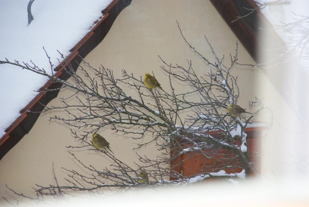 Gasthof Jaegerheim Birgland Bagian luar foto