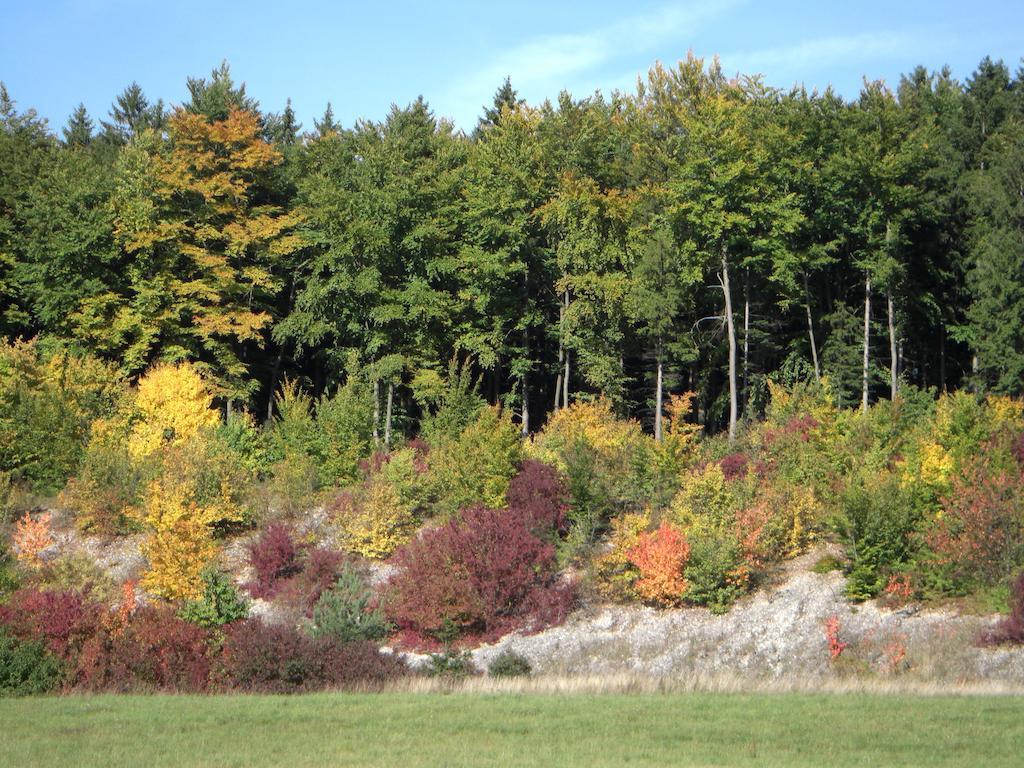 Gasthof Jaegerheim Birgland Bagian luar foto